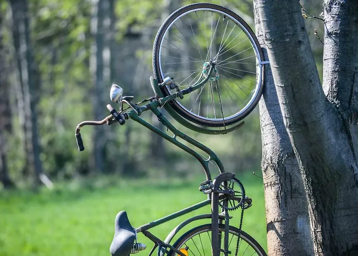 Winckelmann-loft 아파트 *